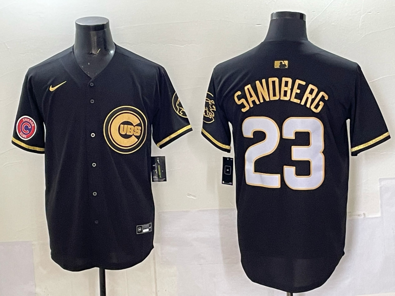 Men Chicago Cubs #23 Sandberg black Nike MLB 2025 Jersey 06->youth mlb jersey->Youth Jersey
